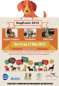 affiche dog event