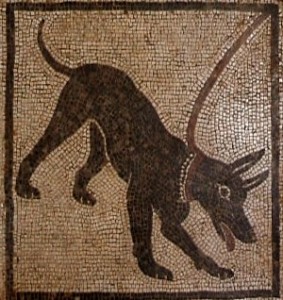 Mosaïque au chien - Pompéi