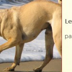 Les mots du jour
