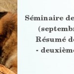 Le comportement agressif