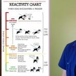 Chien réactif et BAT : l'interview de Grisha Stewart