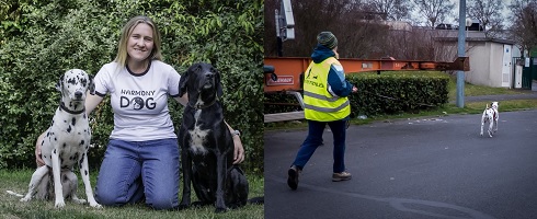 Carine Belleville - Harmony Dog - l'interview