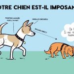 Votre chien et ses congénères (posters)
