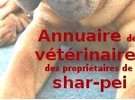 Annuaire des vétérinaires (shar-pei)
