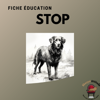 Fiche éducation : stop